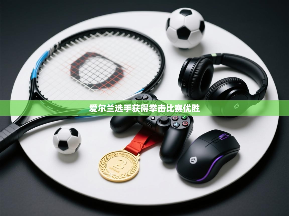 爱尔兰选手获得拳击比赛优胜 第1张