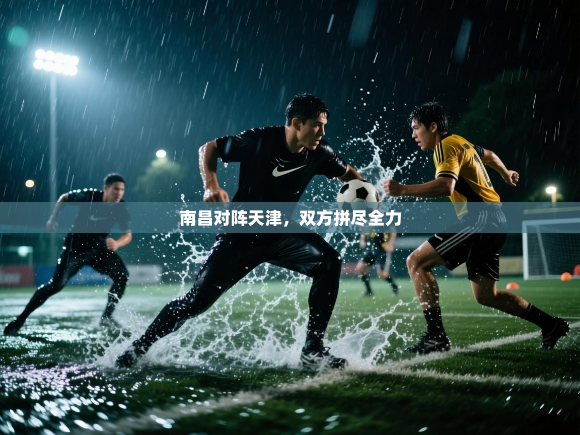 南昌对阵天津，双方拼尽全力  第1张