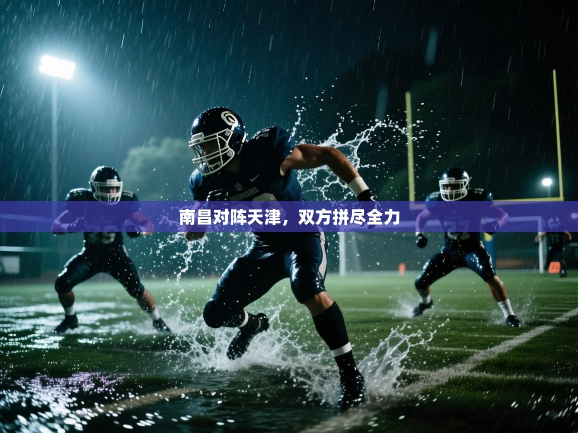 南昌对阵天津，双方拼尽全力  第2张