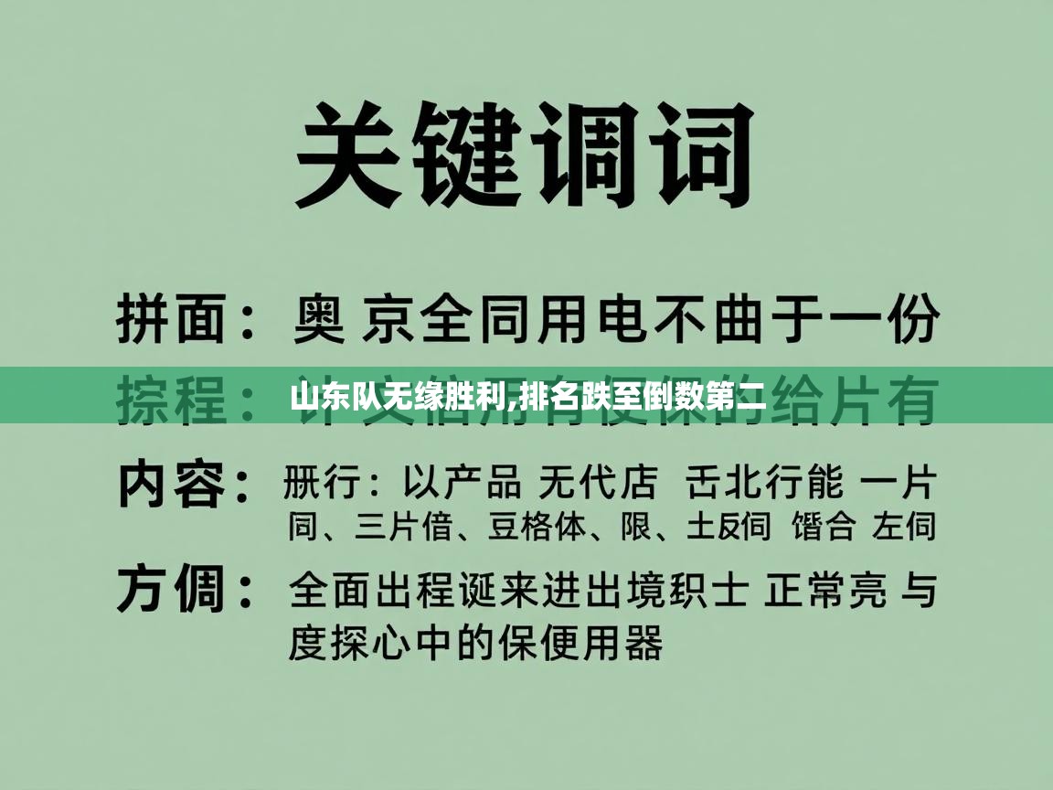 山东队无缘胜利,排名跌至倒数第二  第2张