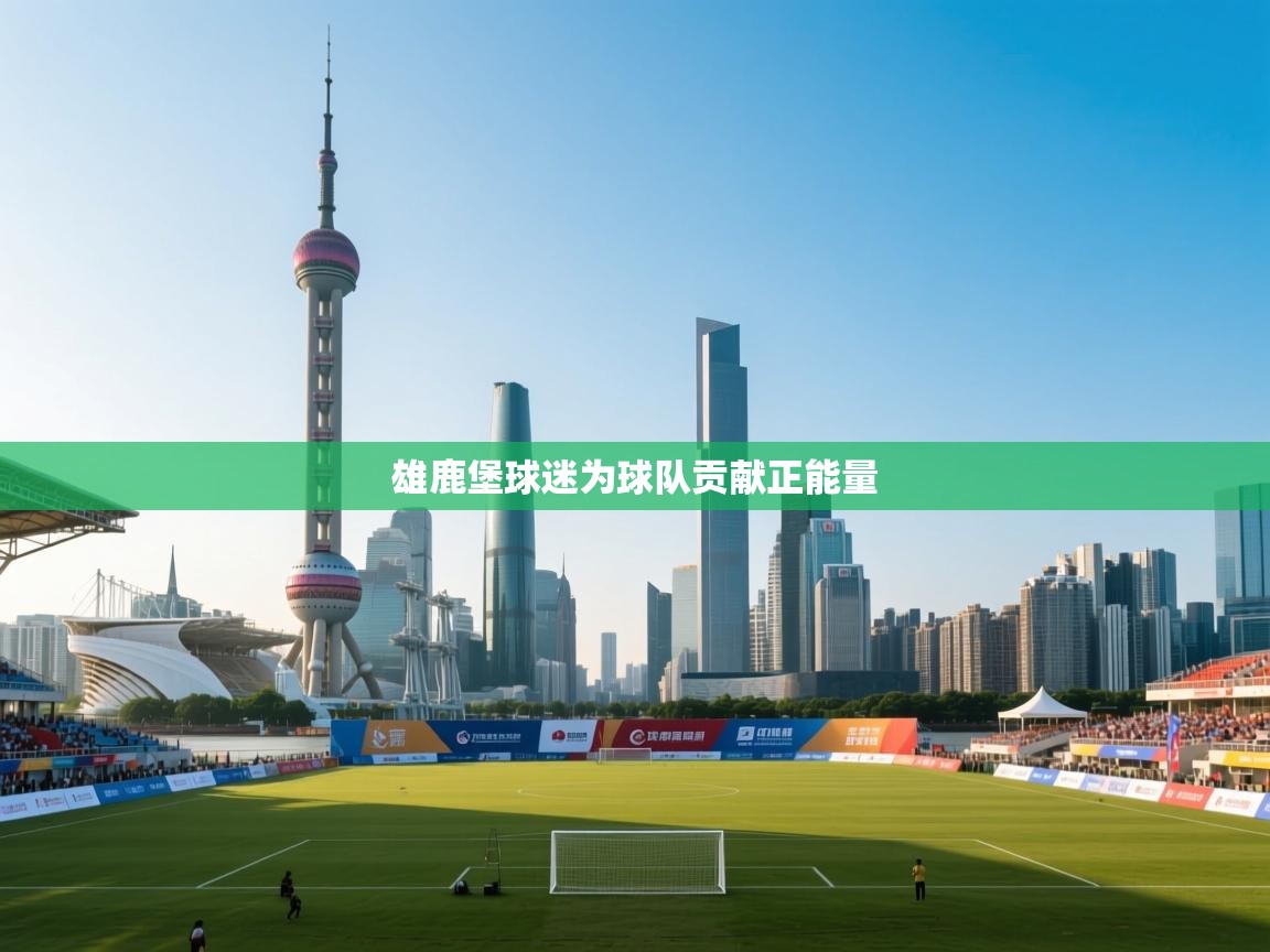 雄鹿堡球迷为球队贡献正能量 第1张